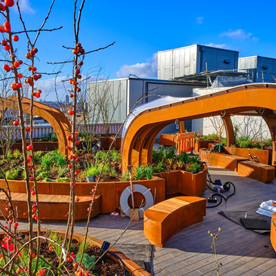 Critical Care Unit Rooftop Garden